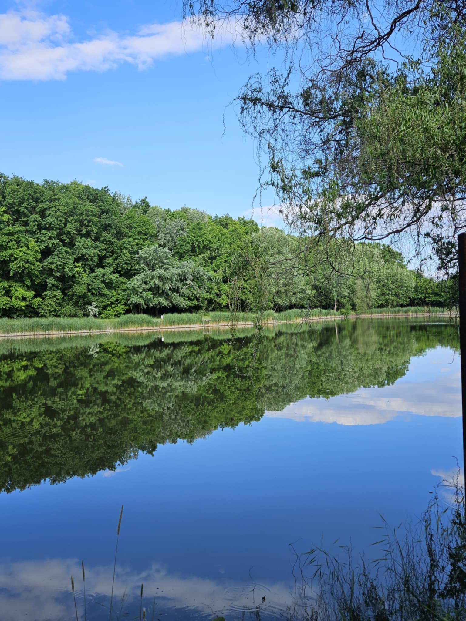 újlőrinc – jóléti tó – motoros étterem és kávézó – 2025-8