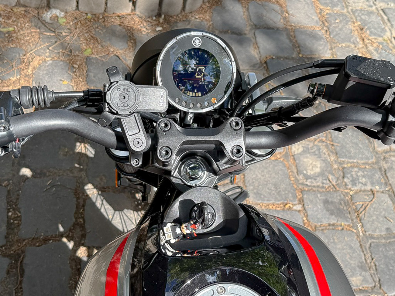 98C9E68C-3FAF-428F-B778-6A82F861D70F_1_105_c