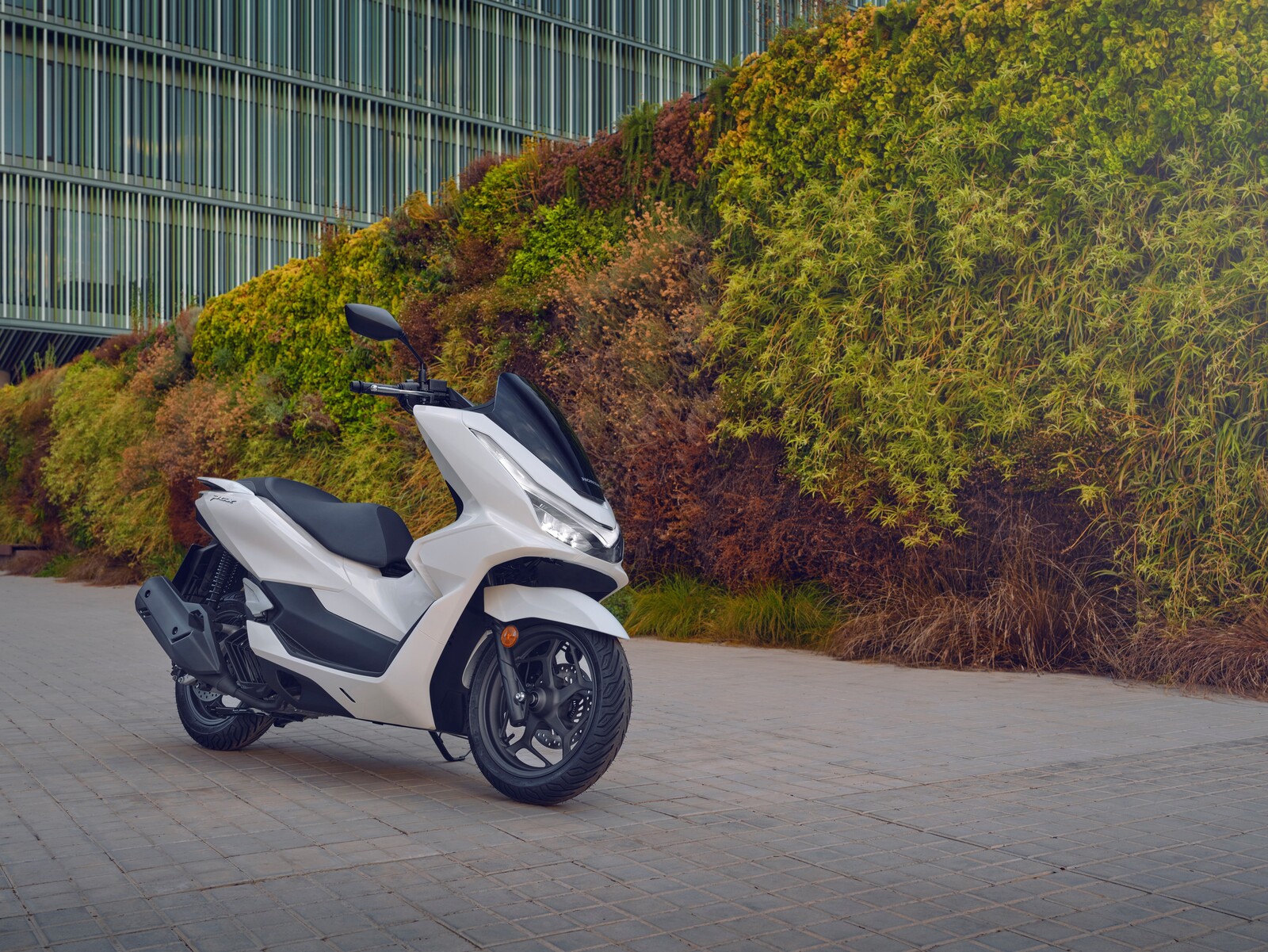 honda pcx125dx 2026-2