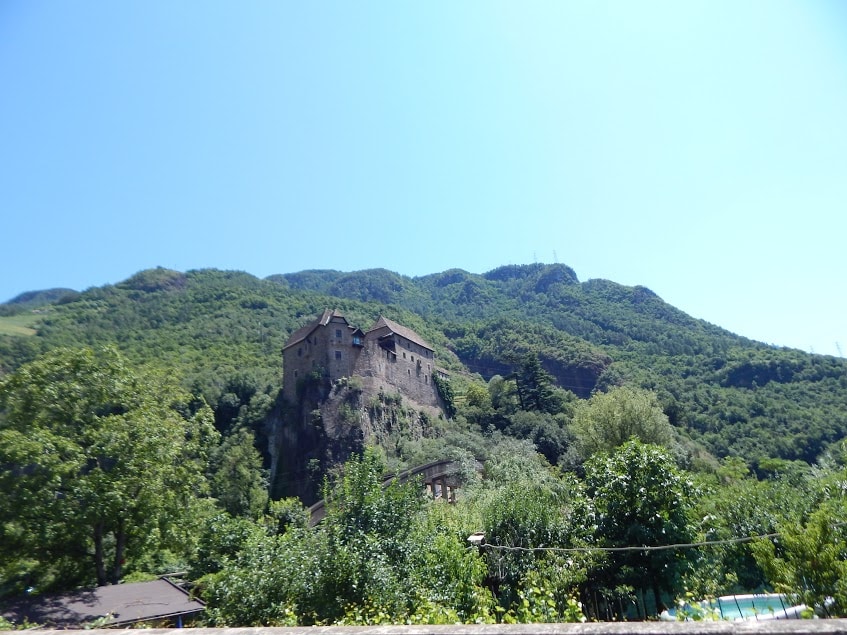 DSCN2904
