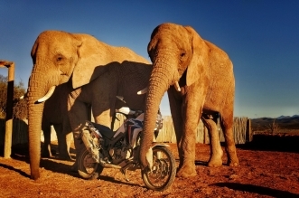 Adventure Roads - 2019