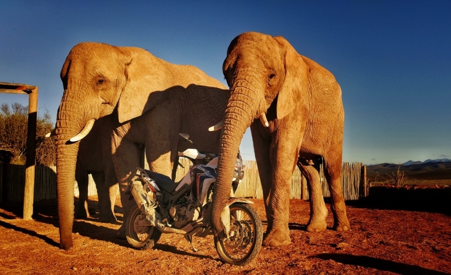 Adventure Roads - 2019