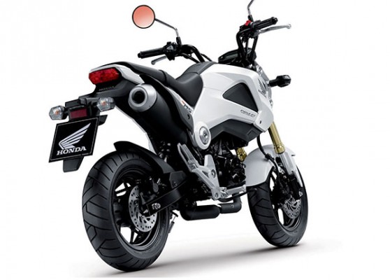Honda-MSX125-2013-hegylakok