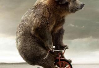 motoros medve biker bear motorozó maci cirkusz látványosság biciklis stunt riding
