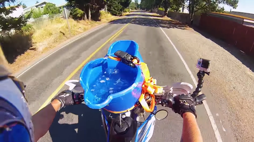 icebucketchallange-moto-wheelie