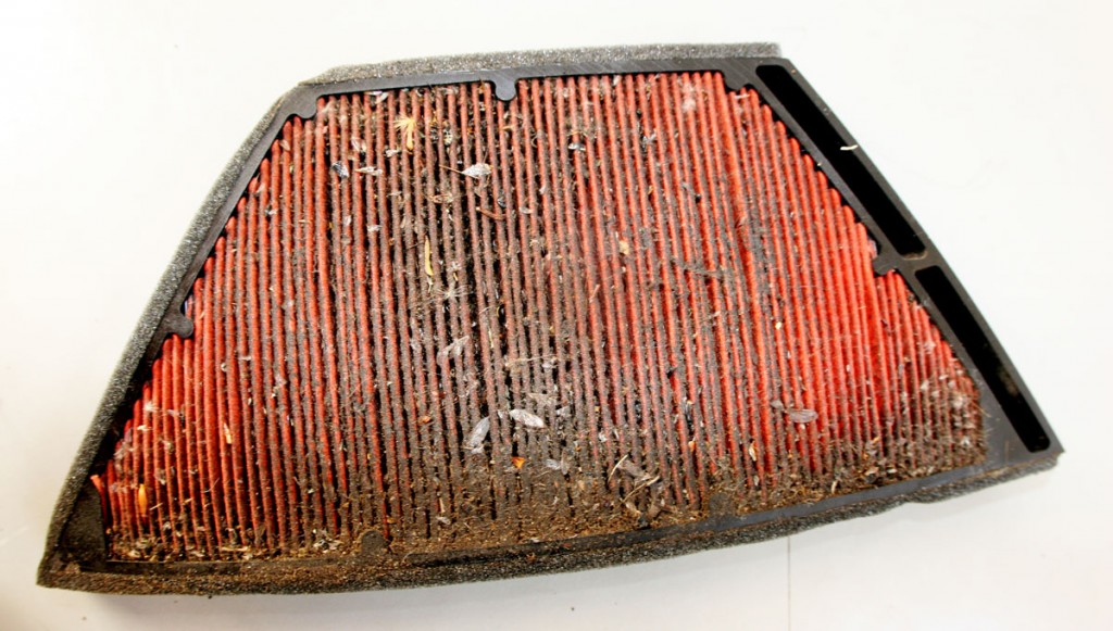 legszuro-1