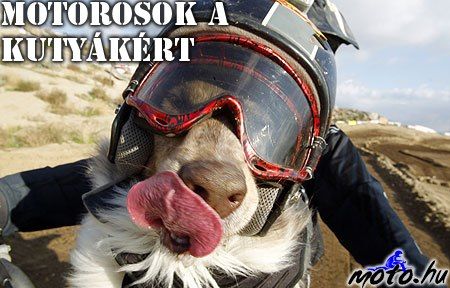 moto.hu-motorosok-a-kutyakert