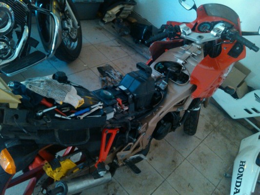 norbi2