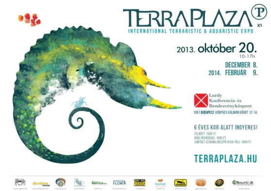 terraplaza-lurdy-2013