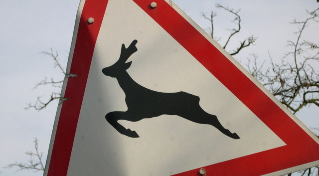 vadveszely-tabla-karterites